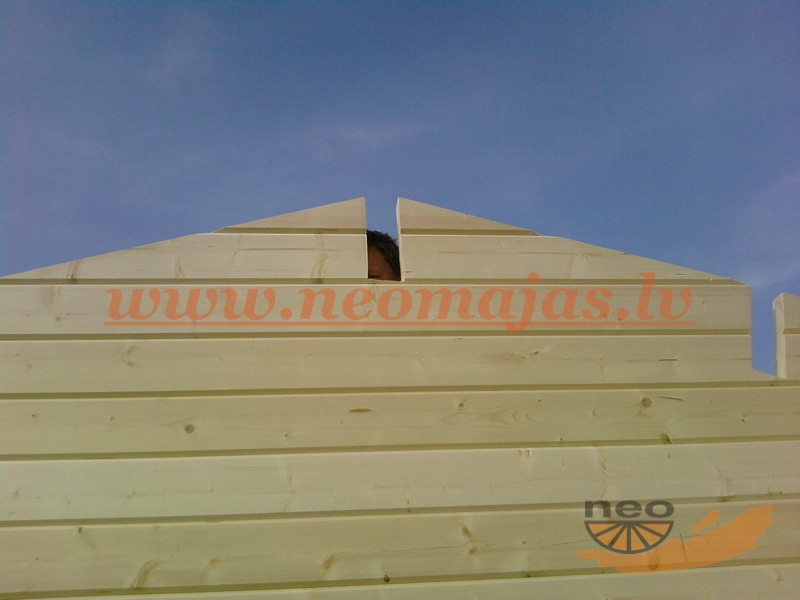 Ingera4-6