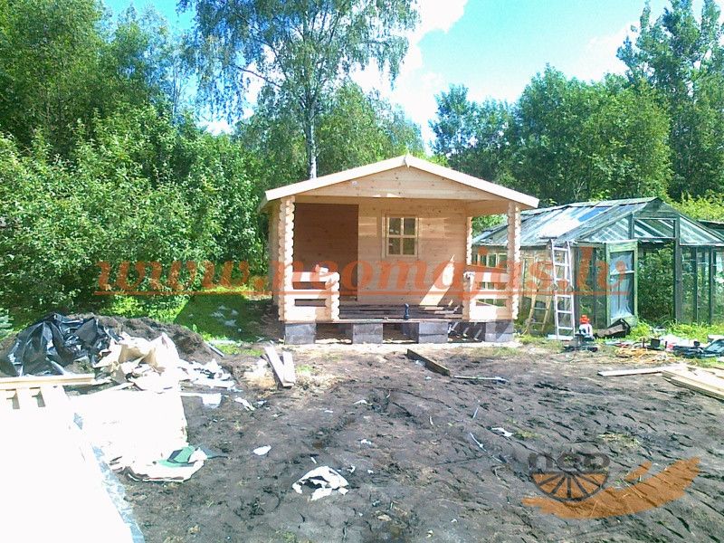 Sintija-21