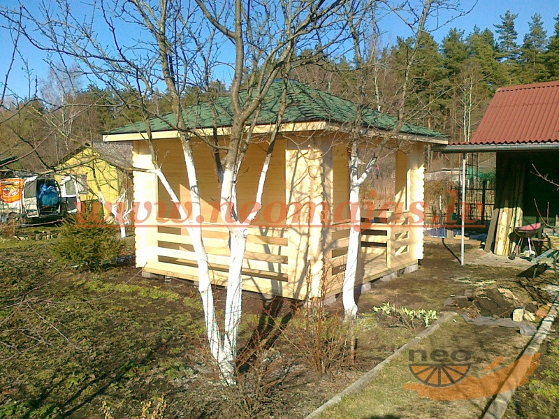 Dina-17