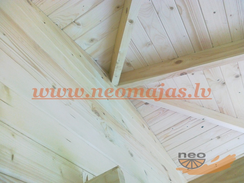 Nestandarta projekti-14